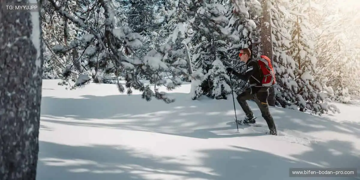 实时数据，专业解说，用科技拉近你与赛场的距离📊🎙️